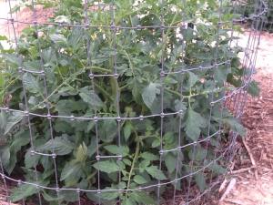 Notice the openings are larger, but still not quite enough. I will need to enlarge them once more I think.