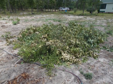 It took a little head scratching and some googling to visualize the proper vaolume dimensions.