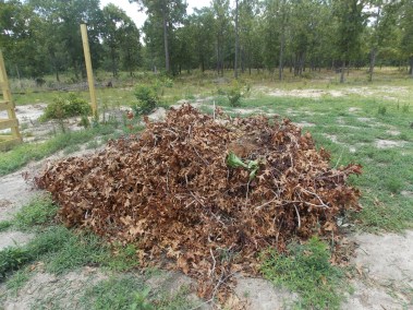 The initial pile awaits turning and re-stacking.